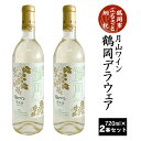 【ふるさと納税】A25-202 限定 月山ワイン 鶴岡デラウェア 白ワイン2本セット 720ml×2本|山形県 鶴岡市 山形 鶴岡 山形県鶴岡市 ふるさと 納税 酒 お酒 地酒 支援 ワイン セット ワインセット 飲み比べセット 白ワイン 返礼 特産品 名産品 飲みくらべ 詰め合わせ アルコール