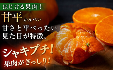 【全2回定期便】【数量限定】紅まどんな＆甘平 約3㎏ずつ[AGAO013]紅まどんな紅まどんな紅まどんな甘平甘平甘平