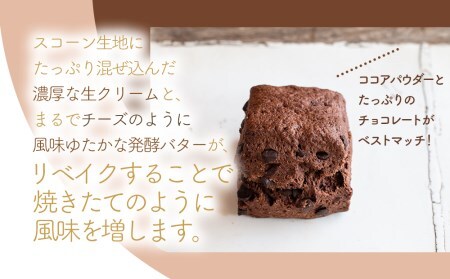 発酵バター香る濃厚リッチな生クリーム スコーン (濃厚ショコラ) 10個セット 手作り チョコレート お菓子 おやつ ギフト 焼き菓子 パン スイーツ 大分県産 九州産 中津市