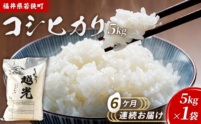 6ケ月連続 福井県若狭町 コシヒカリ （一等米） 5kg（神谷農園） お米 ブランド米 銘柄米 ご飯 おにぎり お弁当 産地直送 和食 主食 