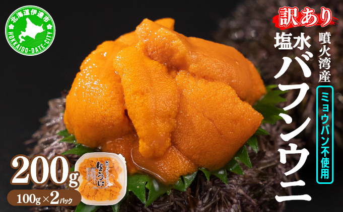 訳あり 北海道 噴火湾産 塩水 バフンウニ 100g 2パック 計200g 《アフター保証付き》うに ウニ 雲丹 海鮮 海の幸 魚介類 ウニ丼 お寿司 濃厚 無添加 産地直送 お取り寄せ 山村水産 送料無料
