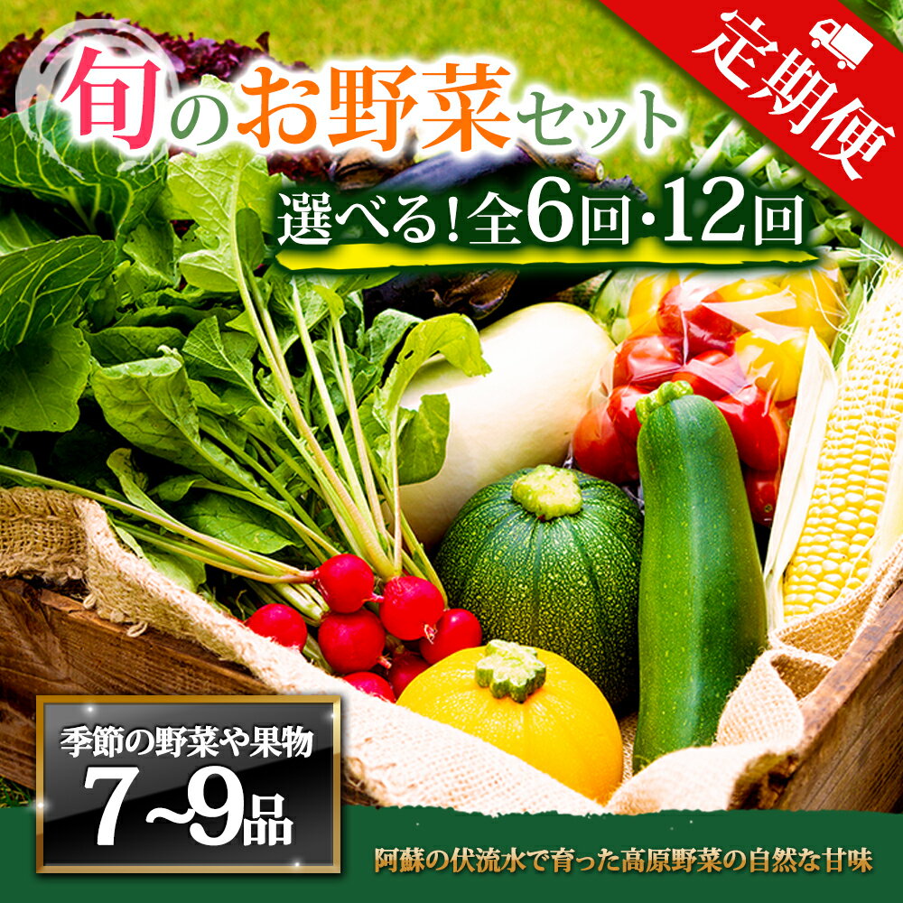 【ふるさと納税】【定期便】畑から直送 季節のお野菜セット Lサイズ 6回 12回 定期便 野菜 7〜9品 定期便 ふるさと納税 全6回 全12回 詰め合わせ セット 新鮮 減農薬 高原 旬 産地直送 野菜 果物 フルーツ 採れたて 甘い 美味しい 人気 安心 安全 熊本県 阿蘇市