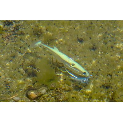 ふるさと納税 飯塚市 RUDIE‘Sの根魚狩りJ・H(25g・30g・35g)各2セット(計6個) 釣り具 ルアー |  | 02