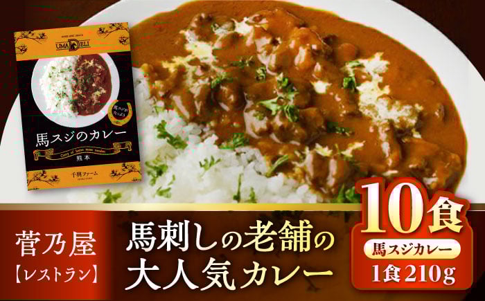 
            馬スジのカレー 10食 210g×10 計2.1kg 【株式会社 千興ファーム】 [AYAF027]
          