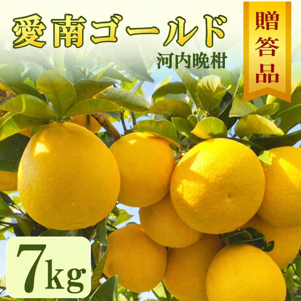 贈答用 愛南ゴールド（河内晩柑） 7kg 10000円 柑橘  みかん mikan 蜜柑 ミカン 愛南ゴールド 国産 特産品 ギフト プレゼント お中元 果物 柑橘 おいしい 甘い 前田ファーム 愛南町 愛媛