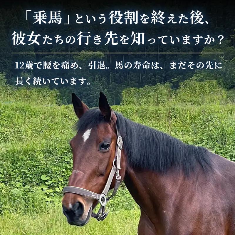 引退馬 飼育支援：寄付金額10,000円（返礼品なし）