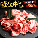 【ふるさと納税】近江牛 切り落とし 500g 和牛 近江牛 滋賀 コスパ 切り落とし 切り落し 小間切れ こま切れ 大容量 高級 ふるさと納税 国産 牛肉 肉 やわらかい お肉 国産牛 人気 おすすめ 赤身 カレー 肉じゃが 煮込み スーパーセール お買い物マラソン O-I15 西川精肉店