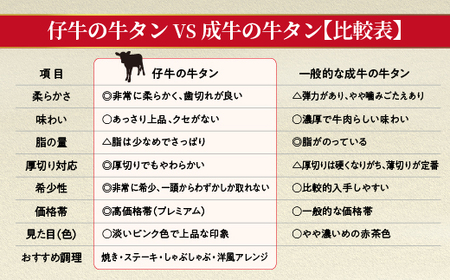 【定期便 奇数月×６回】厚切り牛タンステーキ 塩味 1kg×6回 定期便 _f-86