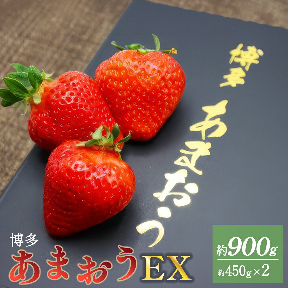【ふるさと納税】博多 あまおう EX 贈答化粧箱入 約450g×2箱 合計約900g 国産 九州 福岡県産 福津市 イチゴ いちご 苺 果物 くだもの フルーツ 大玉 贈答品 贈答用 ギフト 先行予約 送料無料【2027年1月以降発送】[Z2250]