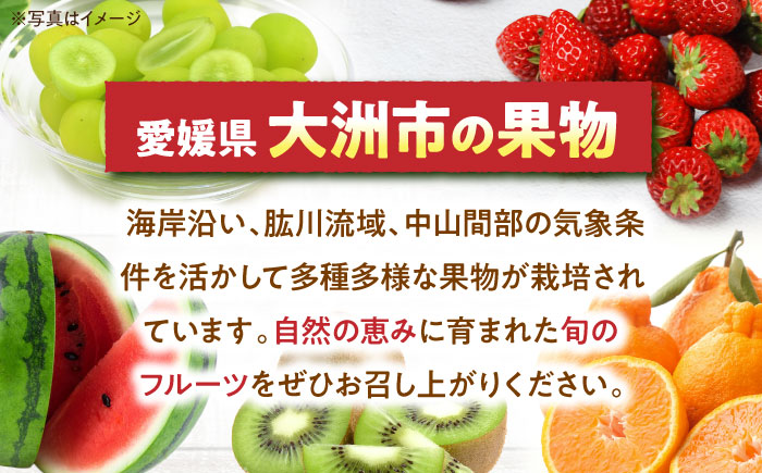 【先行予約】【9月上旬から順次発送】みずみずしくてジューシー！特選 豊水 梨4.5kg（9個から11個入り）　愛媛県大洲市/幸野観光なし園 [AGBD003]梨 ナシ 果物 秋の味覚 フルーツ なし 