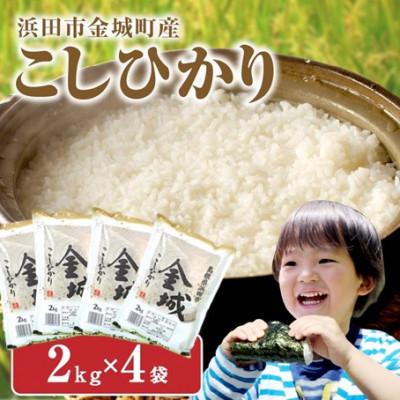 ふるさと納税 浜田市 【令和7年産】《10月より順次発送》浜田市金城町産こしひかり　2kg×4袋
