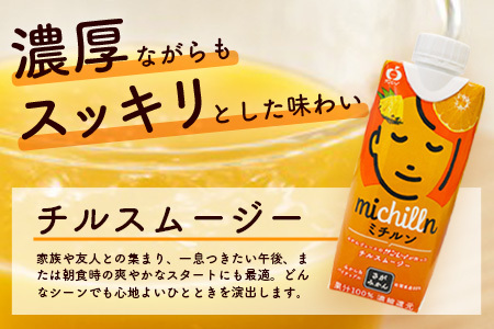 果汁ミックスジュース　ミチルン　330ml×12本　B-763