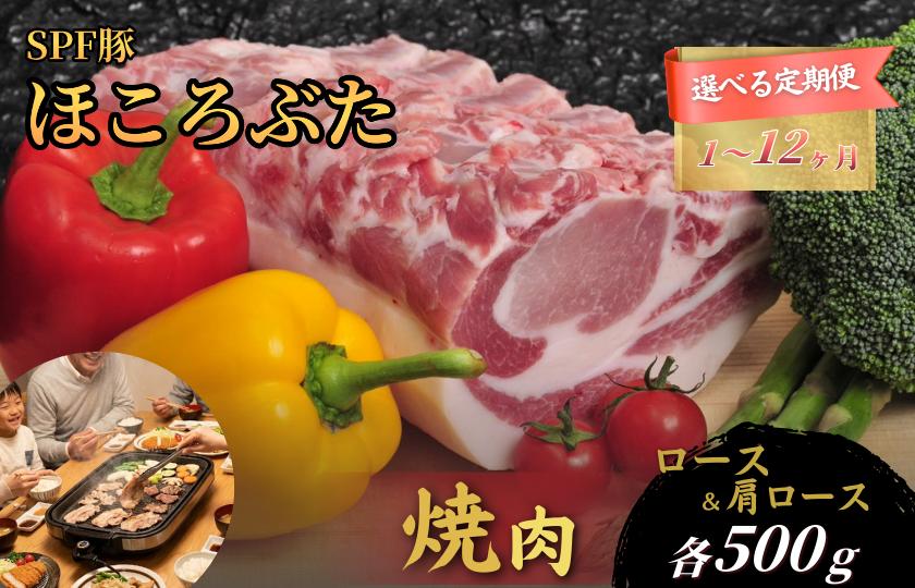
            千葉県産 下山農場 SPF豚 「 ほころぶた 」（ 焼き肉用 ） ／ SPF豚 豚肉 ほころぶた 焼き肉 焼肉 ロース 肩ロース
          