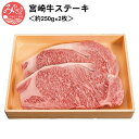 【ふるさと納税】宮崎牛ステーキ＜約250g×2枚＞ 和牛 お肉 牛肉 食品 国産 全国和牛能力共進会 オリンピック 4大会連続最高賞受賞 厳選 A4等級 綺麗 霜降り肉 冷凍 宮崎県 宮崎市 送料無料