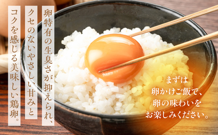 産みたてたまご 30個 ( 割れ保証込み 25個 ＋ 5個 ) 卵 たまご ナガイタマゴ 鶏卵 卵かけごはん 海苔 エサ 赤玉 パック 赤鶏 卵かけご飯 玉子焼き 玉子 国産 新鮮 小分け パック ギ