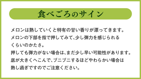 【 先行予約 5月下旬 以降発送 】【 令和6年産 】【 農家直送 】【 昭和の大衆メロン 】 プリンスメロン 1箱 約 5kg （ 7～8玉 入り） [AX020ya]
