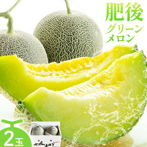 【ふるさと納税】【先行予約】肥後グリーン メロン 2玉 約3.2kg 七城町特産品センター《2026年5月中旬-6月末頃出荷》熊本県 菊池市 メロン 果物 フルーツ 九州産 熊本県産 めろん グリーンメロン