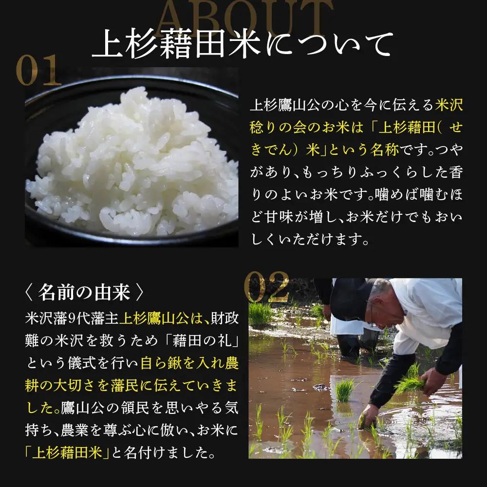 【先行予約】令和8年産 はえぬき 玄米 30kg （ 30kg × 1袋 ） 産地直送 2026年産 米沢産 玄米 山形県 米沢市