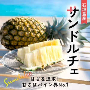 【先行予約】石垣島産 中玉サンドルチェ４玉 合計約3.8kg《2025年夏季 順次発送》【 沖縄 石垣 フルーツ パイナップル パイン サンドルチェ 産地直送 】SI-108