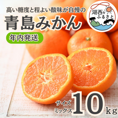 
                  ＜年内発送＞＜12月中旬より順次出荷予定＞青島みかん約10kgサイズミックス〔鈴木農園〕【1510113】
                