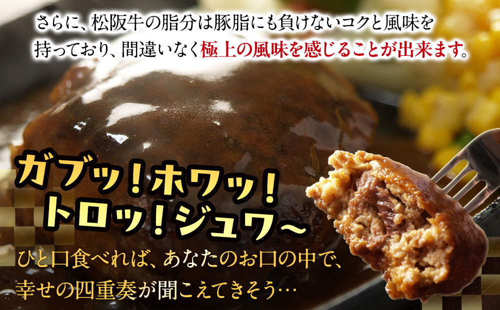 松阪牛100％ハンバーグ　１０個セット