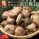 【ふるさと納税】【特撰】 椎葉村産 乾し椎茸 こうこ 170g【宮崎県産 椎茸 しいたけ シイタケ 乾し椎茸 干し椎茸 椎茸ステーキ こうこ 原木栽培 産地直送 贈答 ギフト 乾物 きのこ 国産 原木椎茸 干しいたけ 栄養 父 母 敬老 保存食 備蓄 煮物 鍋 特産 ご当地 お取り寄せ】