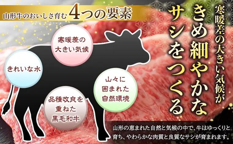 厳選A5-A4 山形牛 ヒレステーキ 約390g(130g×3枚) FZ22-994