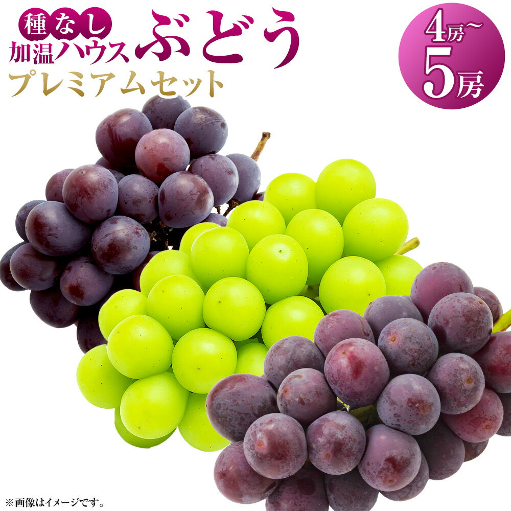 【ふるさと納税】【先行予約】有機配合肥料使用 種なし 加温ハウスぶどう 4～5房 プレミアムセット 【2026年7月下旬より順次発送予定】【春光園】 ぶどう ブドウ 葡萄 果物 フルーツ 詰め合わせ 冷蔵 送料無料 福岡県 うきは市