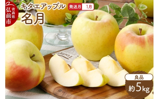【27年1月発送】りんご 名月【良品】約5kg キタエアップル 青森県 弘前市 [先行予約 名月 りんご 贈り物 アップル おいしい 果実 果物 黄色 美味 林檎]