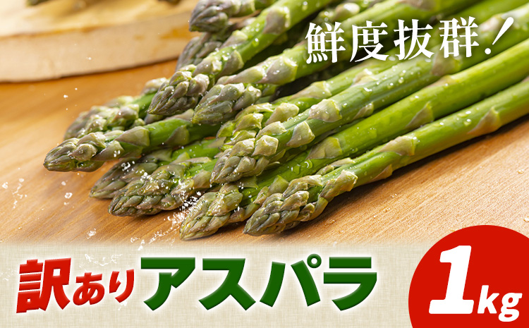 アスパラガス 訳あり 1kg JA門別 北海道 日高町産 グリーンアスパラ 春 野菜 朝採り 鮮度抜群 お取り寄せ グルメ 産地直送 農協 太い 甘い 甘み 旬 送料無料 《4月上旬-5月末出荷》