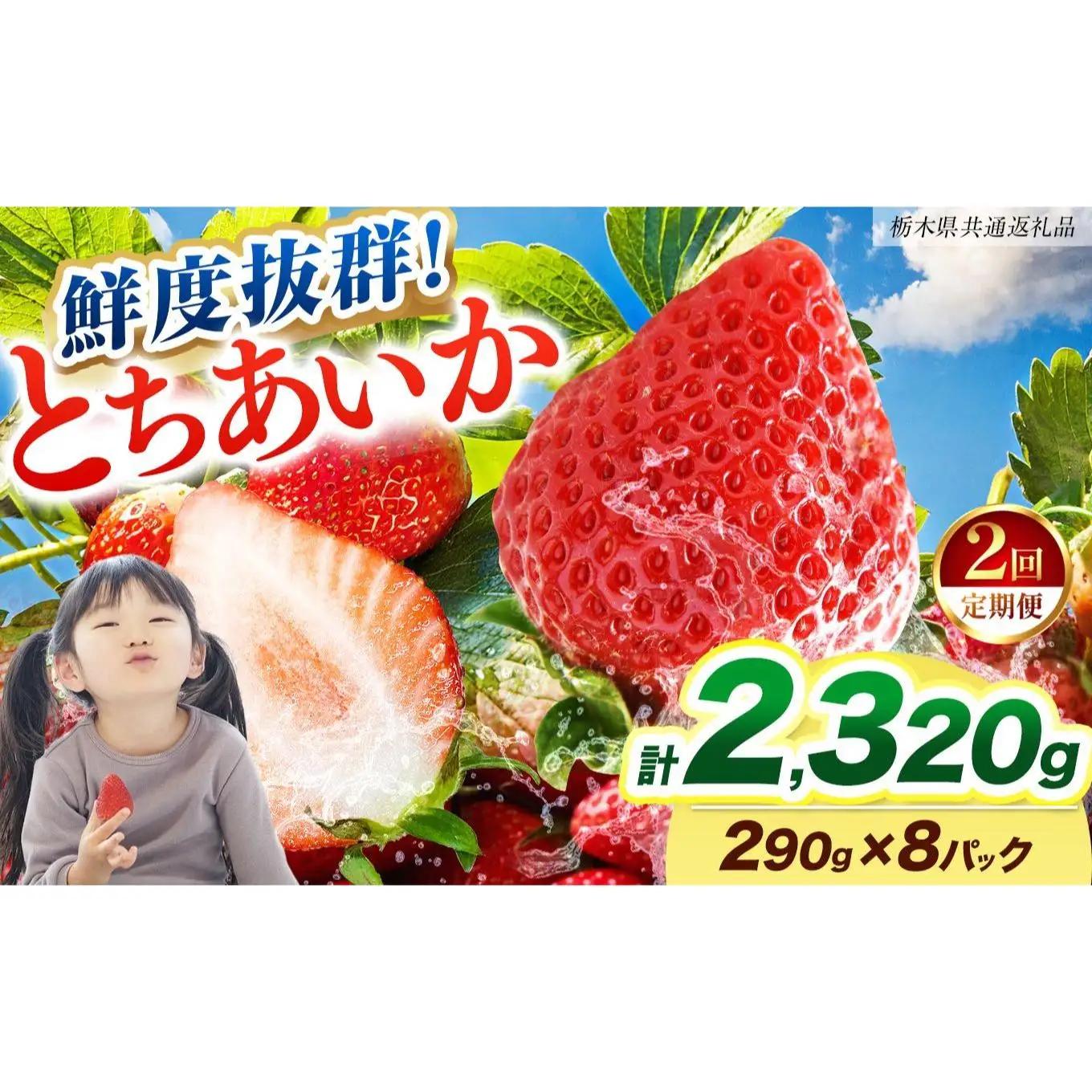  【2027年先行予約】〔定期便2回〕鮮度抜群 いちご とちあいか 290g×8P【栃木県共通返礼品】