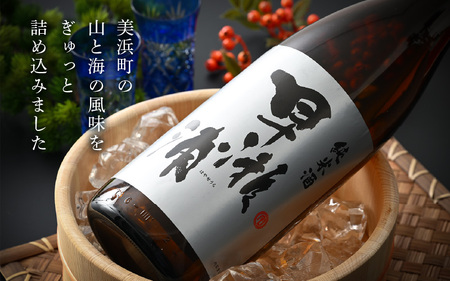 【早瀬浦】本醸造 1800ml × 2本 ＆ 純米酒 1800ml × 2本 セット【飲み比べ 日本酒 地酒 福井 美浜 早瀬 フルーティ 男酒 硬水 ミネラル 希少 ご褒美 家飲み】[m16-c00