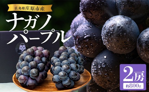 
                  【先行受付 2026年発送】ナガノパープル2房セット【配送不可地域：離島・北海道・沖縄県・東北】【1345435】
                