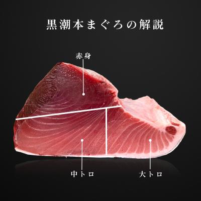 ふるさと納税 大月町 まぐろ マグロ 本鮪 黒潮本まぐろ 赤身 定期便 6回 300g × 6回 刺身 柵 冷凍 産地直送 |  | 02