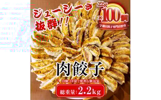 餃子専門店 宇都宮 悟空 肉餃子 22g×100個入｜餃子 冷凍 ぎょうざ ギョーザ  大容量  肉たっぷり 肉多め 人気 名物 行列 国産野菜 国産豚肉 ジューシー スタミナ パリパリ もちもち グルメ おかず おつまみ  栃木県 簡単 小分け 冷凍食品※離島への配送不可