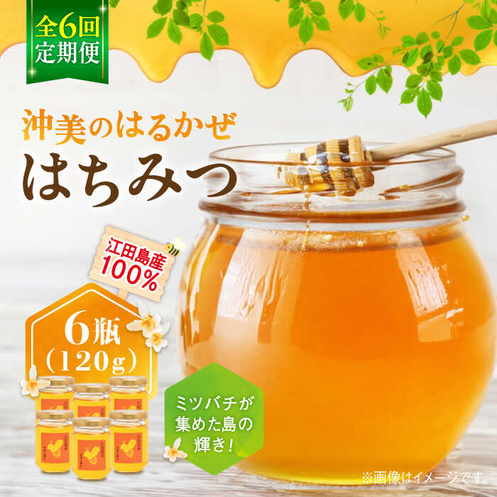 【ふるさと納税】【全6回定期便】江田島産100％ はちみつ 沖美のはるかぜ120g×6本 ハチミツ 蜂蜜 国産 広島 江田島市/はつはな果蜂園 [XCD016] ハチミツ 国産蜂蜜 国産はちみつ 純粋はちみつ 人気 備蓄 非常食 保存食 産地直送 定期便