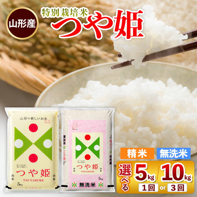 【ふるさと納税】選べる 山形産 【無洗米】 特別栽培米 つや姫 5kg FZ26-904