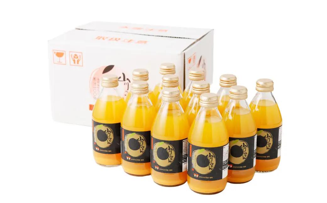 A56 山川みかんストレートジュース（250ml×12本）
