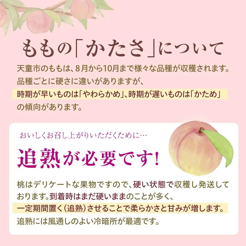 もも ( 8月 品種 おまかせ 白桃 ) 3kg フルーツ 果物 山形