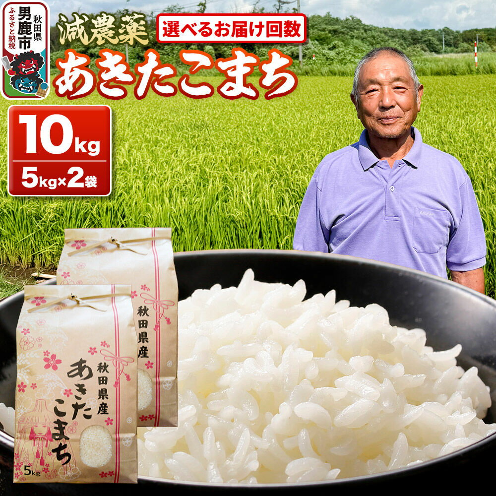 【ふるさと納税】あきたこまち 10kg（5kg×2袋） 白米 藤田清秀 令和7年産 【選べるお届け回数】 お米 米 秋田県男鹿市 [米 あきたこまち ブランド米 減農薬 香り 甘み 粘り おにぎり おむすび お弁当 10kg]