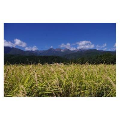 ふるさと納税 飯島町 長野県産 みやましじみ米(精米)5kg |  | 01