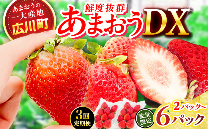 
            【★先行予約★　2026年1月発送開始】【選べるケース数】【3回定期便】博多あまおう 1ケース～3ケース いちご 苺 イチゴ ふるーつ くだもの フルーツ 果物 旬 福岡県産 小分け 広川町 / JAふくおか八女農産物直売所どろや [AFAB019]
          
