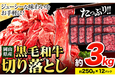 【訳あり】黒毛和牛 切り落とし 小分け 約3kg 約250g×12《60日以内に出荷予定(土日祝除く)》｜牛肉お肉切り落とし牛肉お肉切り落とし牛肉お肉切り落とし牛肉お肉切り落とし牛肉お肉切り落とし牛肉お肉切り落とし牛肉お肉切り落とし牛肉お肉切り落とし牛肉お肉切り落とし牛肉お肉切り落とし牛肉お肉切り落とし牛肉お肉切り落とし牛肉お肉切り落とし牛肉お肉切り落とし牛肉お肉切り落とし牛肉お肉切り落とし牛肉お肉切り落とし牛肉お肉切り落とし牛肉お肉切り落とし牛肉お肉切り落とし牛肉お肉切り落とし牛肉お肉切り落とし牛肉お肉切