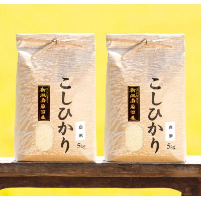 ふるさと納税 南魚沼市 【令和7年産 新米】南魚沼産コシヒカリ(白米)【10kg(5kg×2袋)】 |  | 01