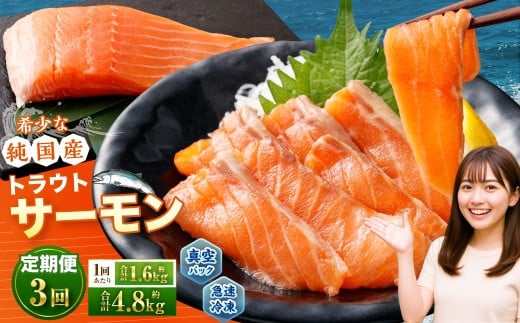 【3回定期便】 国産 トラウトサーモン 計約4.8kg （約200g×8パック）×3回 サーモン 新鮮 小分け 真空パック 急速凍結 国内養殖 冷凍
