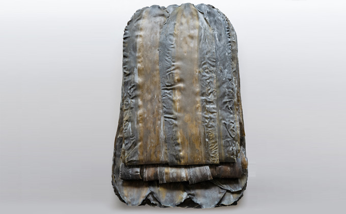 【羅臼昆布の老舗 四十物昆布】羅臼昆布 1等級品 約15kg/富山県黒部市