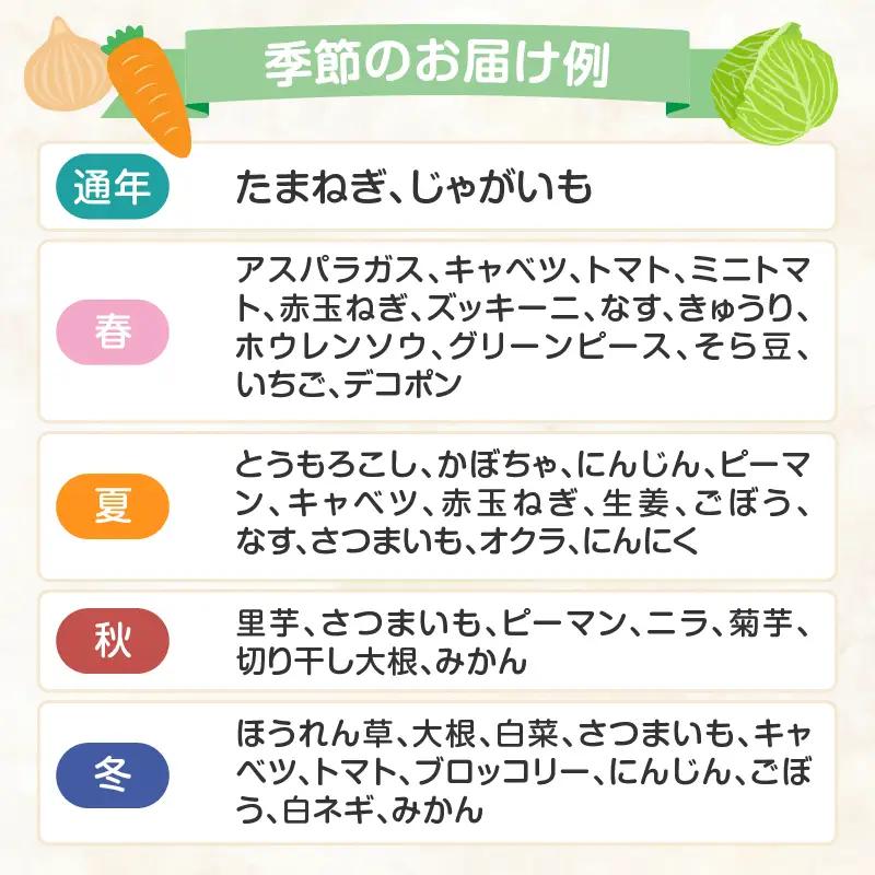 旬の野菜定期便 3か月 ／ 野菜【Z066】