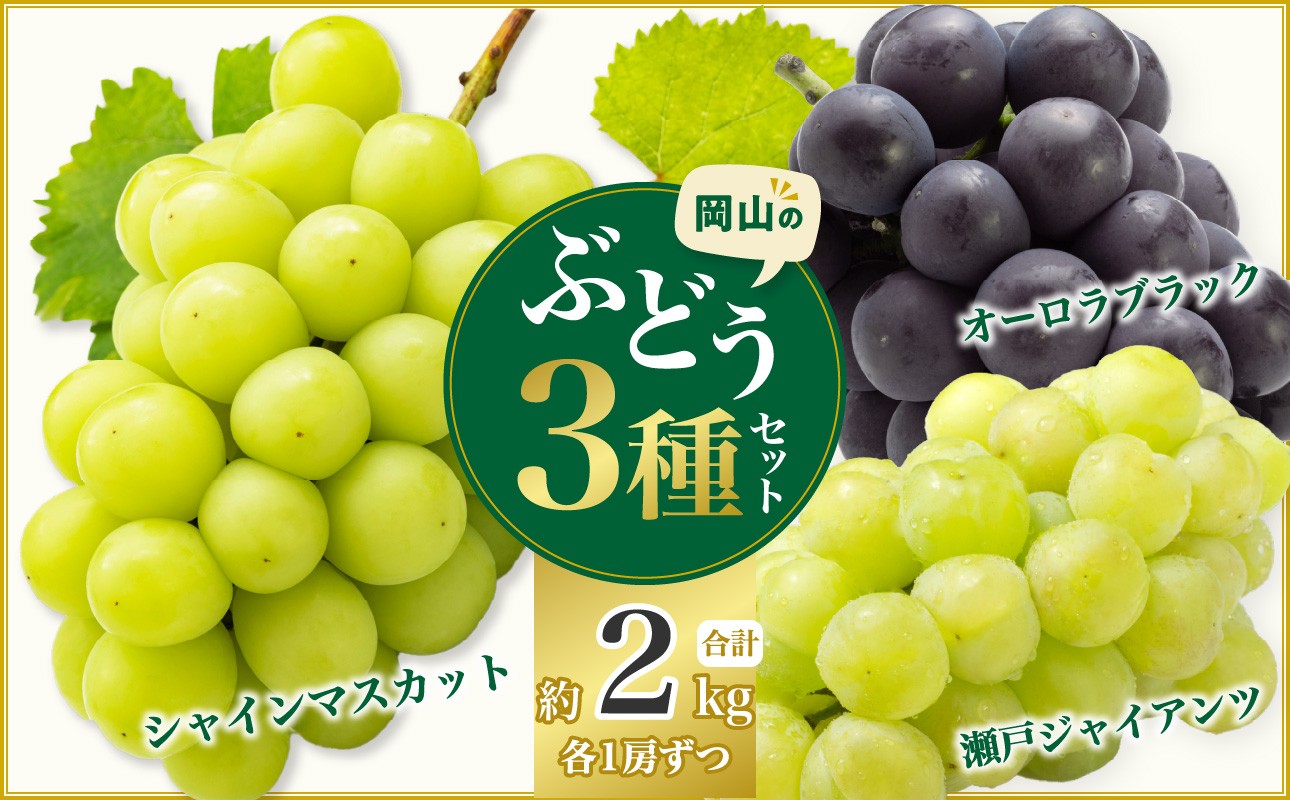 岡山県産シャインマスカット＆オーロラブラック＆瀬戸ジャイアンツ 約2kg