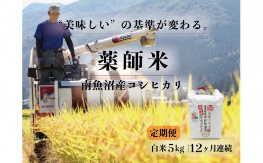 【令和８年産新米予約】定期便全12回【南魚沼市食味コンテスト優秀賞】南魚沼産コシヒカリ 白米5kg ｜薬師米 【定期便 銘柄米 ブランド米 精米 こしひかり コシヒカリ 魚沼産 新潟米】【2026年10月上旬から1ヶ月以内に順次発送予定】