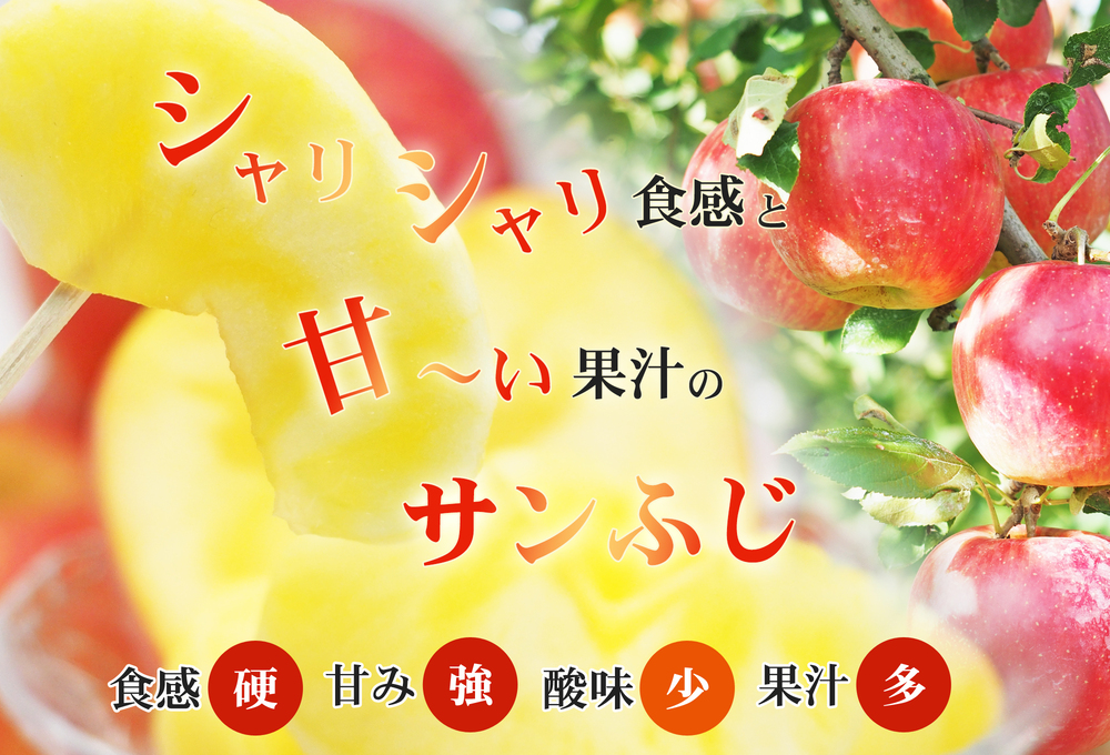 No.2770 ふくしまのサンふじりんご　約1kg 【2026年度発送】
